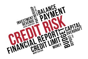Credit risk word cloud collage, business concept background. finance risk concept.